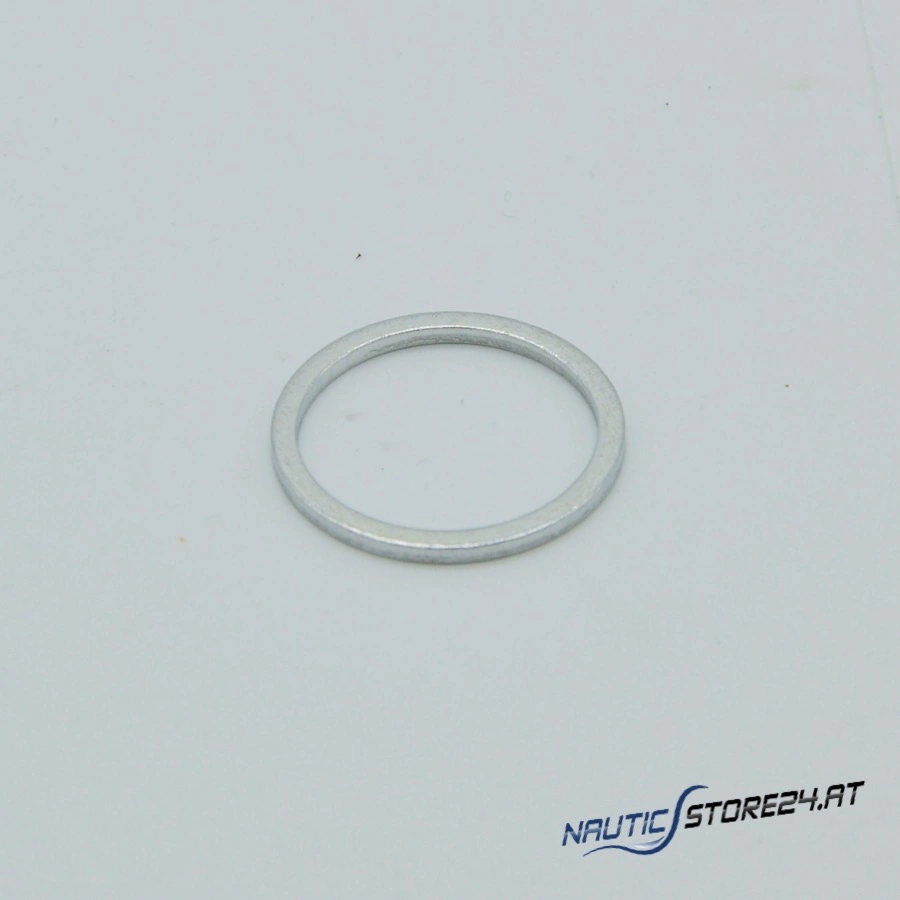 Volvo Penta Scheibe (957187)